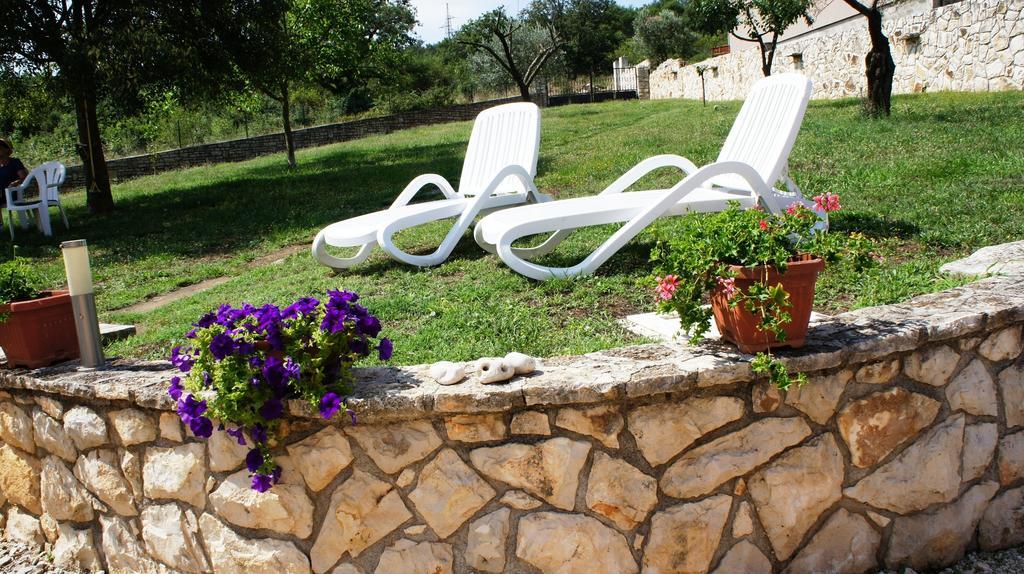 Guesthouse Casa Barbaro روفينجسكو سيلو المظهر الخارجي الصورة
